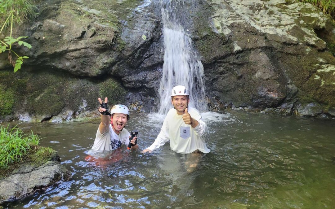 Japanese Emotion Words for Daily Conversation